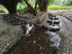 -成都市活水公园
