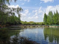-黄兴公园