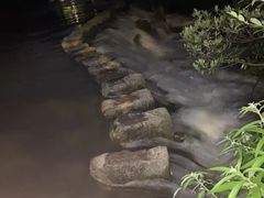 -花溪公园