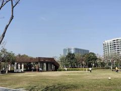 -宝安西湾红树林湿地公园