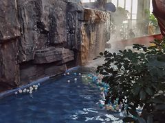 -中家鑫园温泉酒店鑫悦汤泉