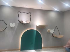 -飞行喵MR PILOT|猫舍·猫咖(静安大融城店)