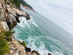 -广东惠东海龟国家级自然保护区