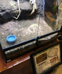 -酷嗒动物文化乐园(cutezoo西溪乐天城店)