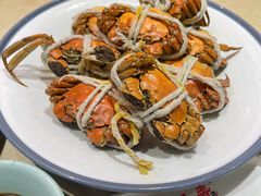 -杨氏青龙虾·羊蝎子(珠江路店)
