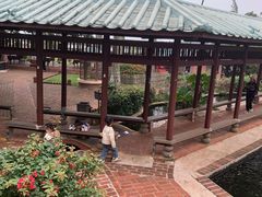 -侯臣咖啡文化村