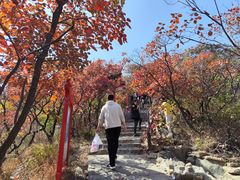 -博山九龙峪风景区