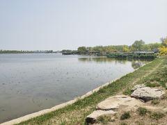 -天津东丽湖风景区