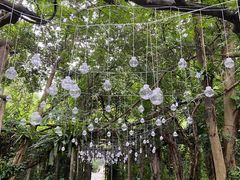 -广西壮族自治区药用植物园