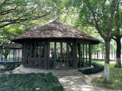-乌村