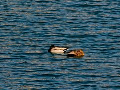 -西姆山居酒店(九寨沟沟口店)