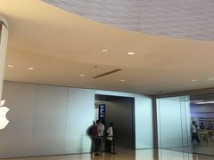-Apple零售店(深圳益田假日广场店)