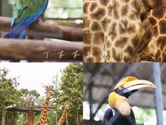 -清迈夜间动物园