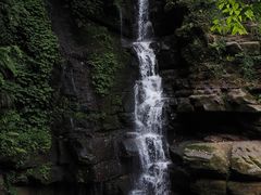 -碧峰峡风景区