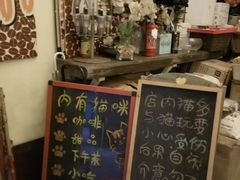 -猫色咖啡·猫咖