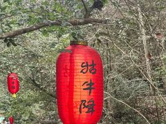 -石台牯牛降景区
