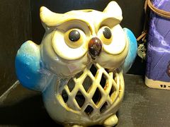 -雪灵魔法世界SHELLY’S TAROT(大良桂畔里店)