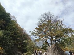 -陕西省红河谷森林公园