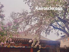 -荣国府