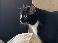 -么么咖啡(燕郊店)