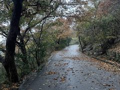 -紫金山山顶公园