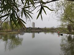 -洋湖国家湿地公园