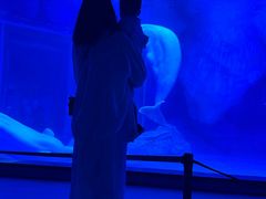 -上海海昌海洋公园-冰山北极馆