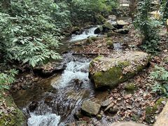 -莫里热带雨林景区