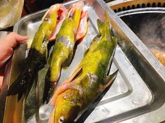 -地锅公社·现炒地锅鸡·地锅鱼·夜宵(罗锦路店)