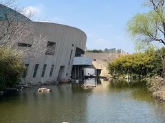-新江湾城公园