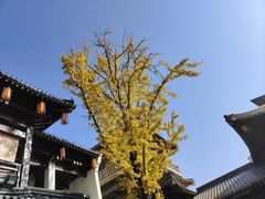 -香积寺
