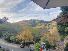 -简象咖啡CAFE ELE JANE(满陇桂雨店)