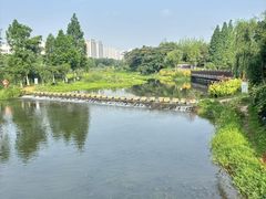 -洋湖国家湿地公园