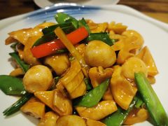 -胡桃里音乐酒馆(石家庄店)