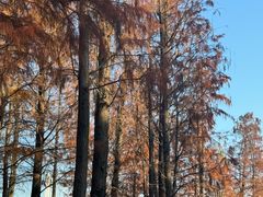 -福州中庚聚龍酒店香汇自助餐厅(南江滨西大道店)