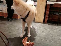 -BOCATA 西班牙餐厅(三里屯店)