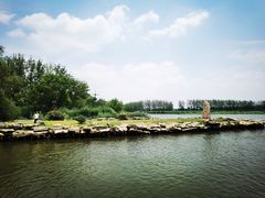 -滕州微山湖红荷湿地景区