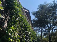 -南昆山川龙瀑布