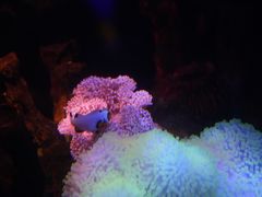 -沈阳海洋探索中心