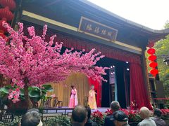 -杭州黄龙洞