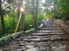 -阳台山自然风景区