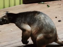 -热带雨林自然公园