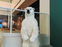 -上海中国航海博物馆