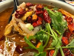 水煮牛柏叶-新辉港式茶餐厅(北栅店)