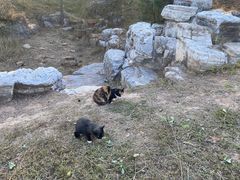 -北京西山国家森林公园