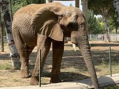 -石家庄市动物园