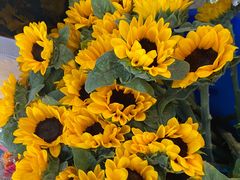 -循礼门鲜花花市(武汉循礼门店)