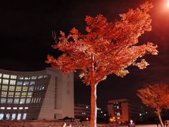 -上海大学宝山-图书馆