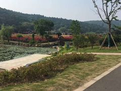 -龙寺生态园