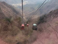 -王顺山国家森林公园